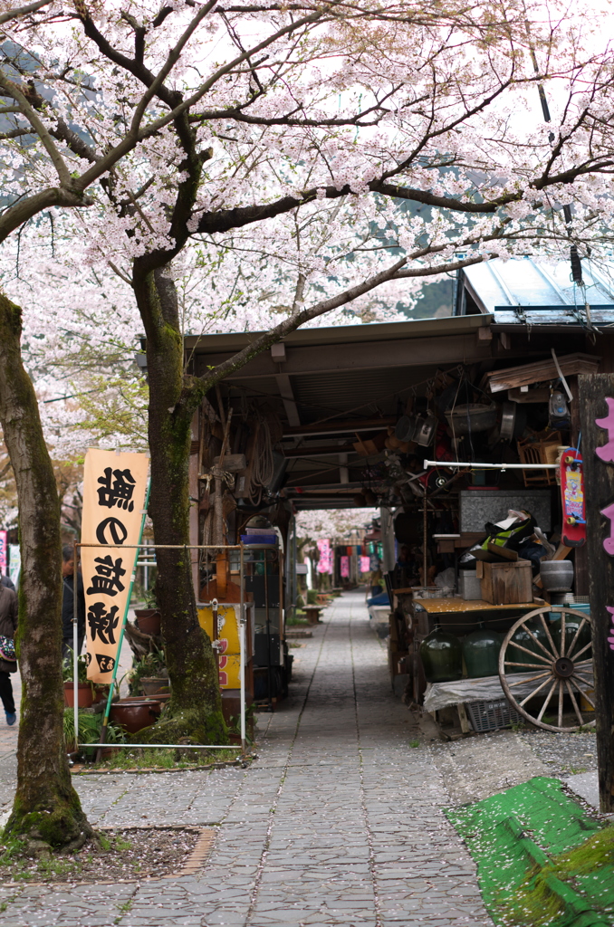 華厳寺③