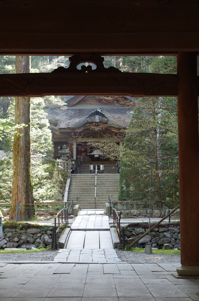 光前寺本堂を望む