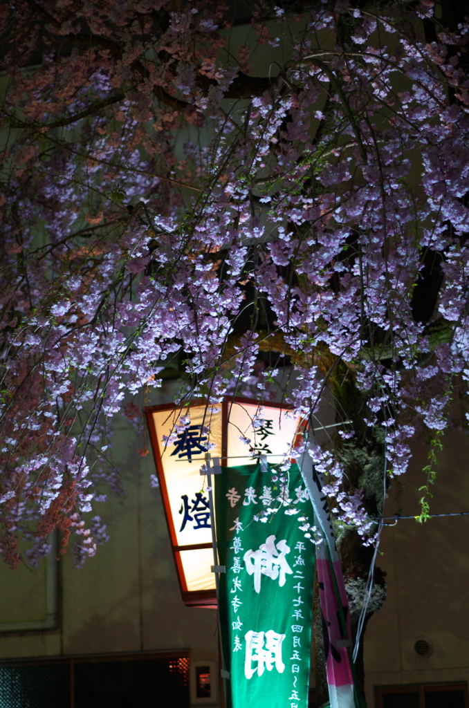 岐阜まつり宵宮⑥