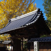 祖父江にて3