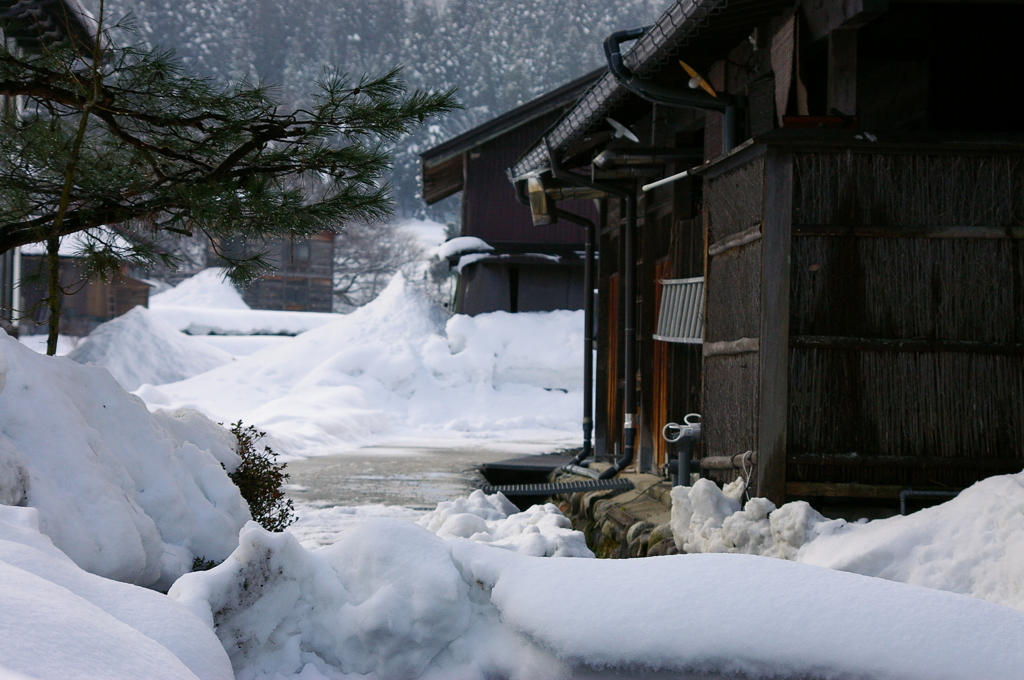 白川郷②
