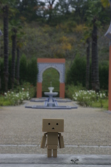 ダンボーIN花フェスタ記念公園
