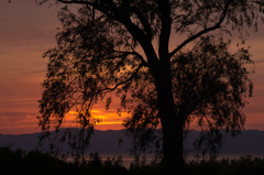 琵琶湖の夕景4