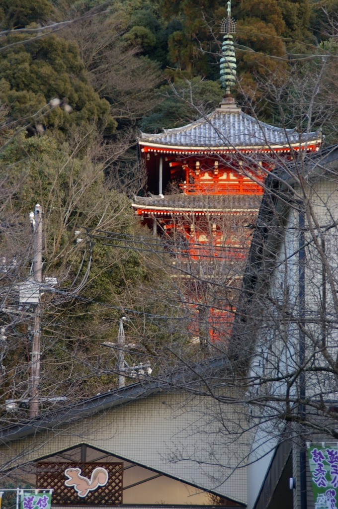 岐阜公園