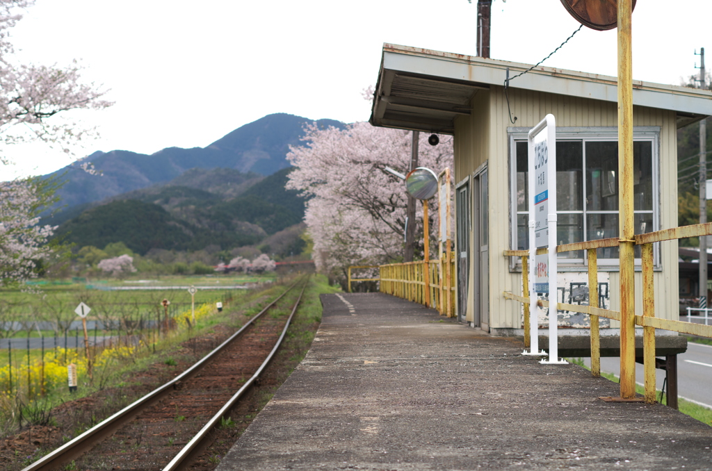 木知原②