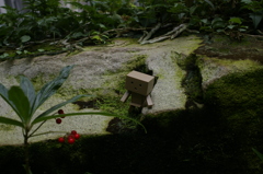 ダンボーIN花フェスタ記念公園