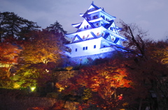 郡上八幡ライトアップ 郡上八幡ライトアップ