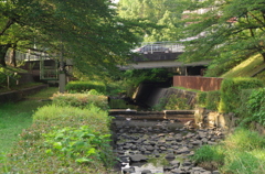 白沢渓谷4