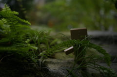 ダンボーIN花フェスタ記念公園