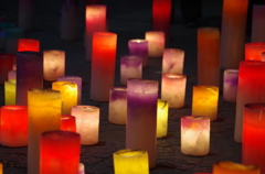 河川環境楽園 イルミネーション2