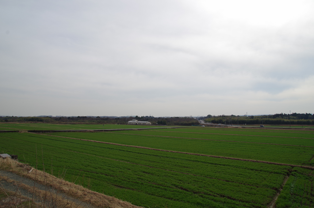 菰野、見晴らし