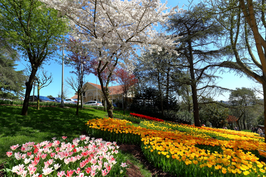 花溢れる海峡沿いの公園