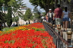 季節の花咲く遊歩道