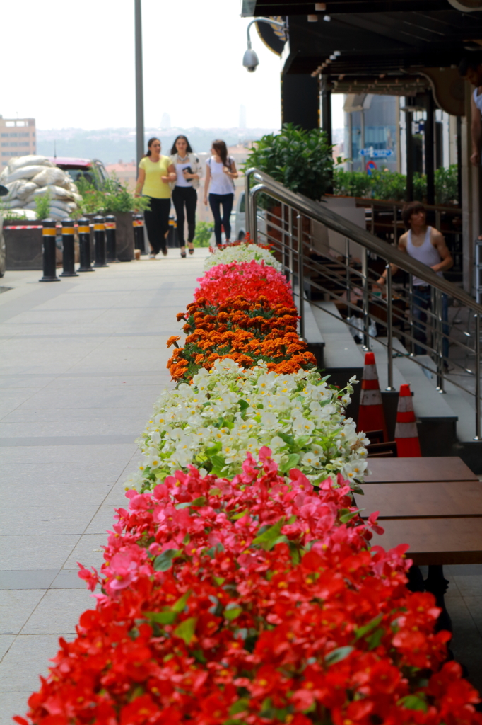 花道