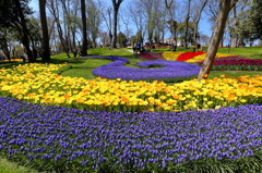 花咲く森の公園