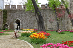 ハレムの花園