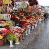 タクシム広場の花屋さん