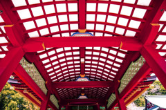 紅