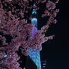 東京スカイツリー　～サクラカラー～