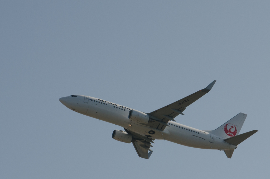 日本航空　B737