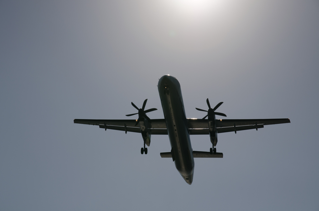 ANAウィングス　Bombardier DHC-8
