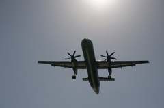 ANAウィングス　Bombardier DHC-8