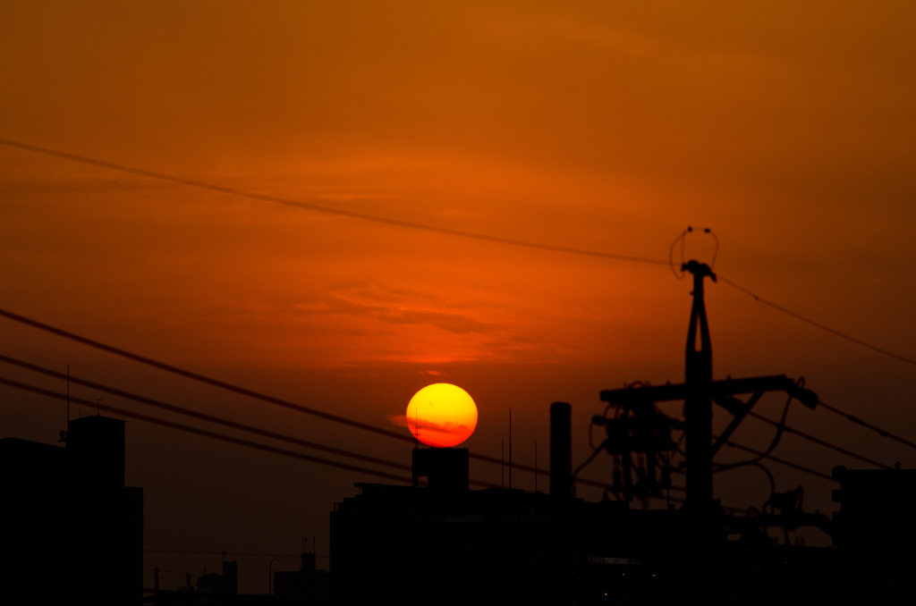 太陽のっけてみました(´0ﾉ｀*)