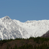 雪崩の爪痕