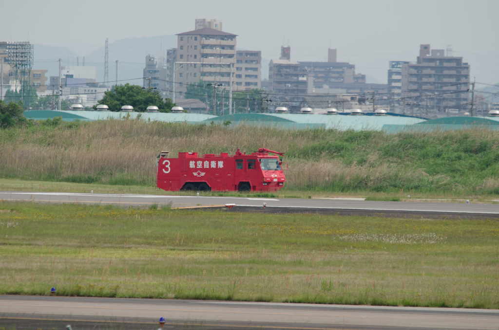壁｜д・´)　まこっちは見た!!