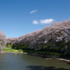 鴉をレタッチで消したくなる景色( ´艸｀)