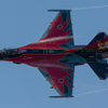 2019築城基地航空祭・・・(o´д`o)=３