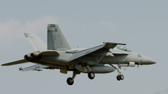 U.S.NAVY　RoyalMaces　NF-205