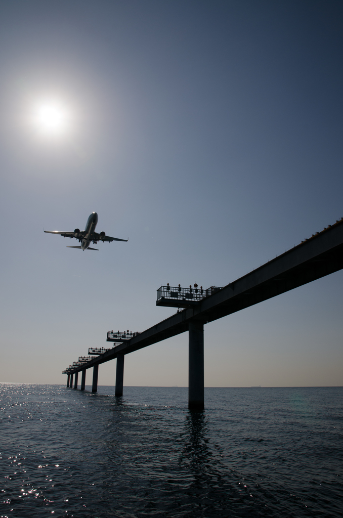 日本航空　B737