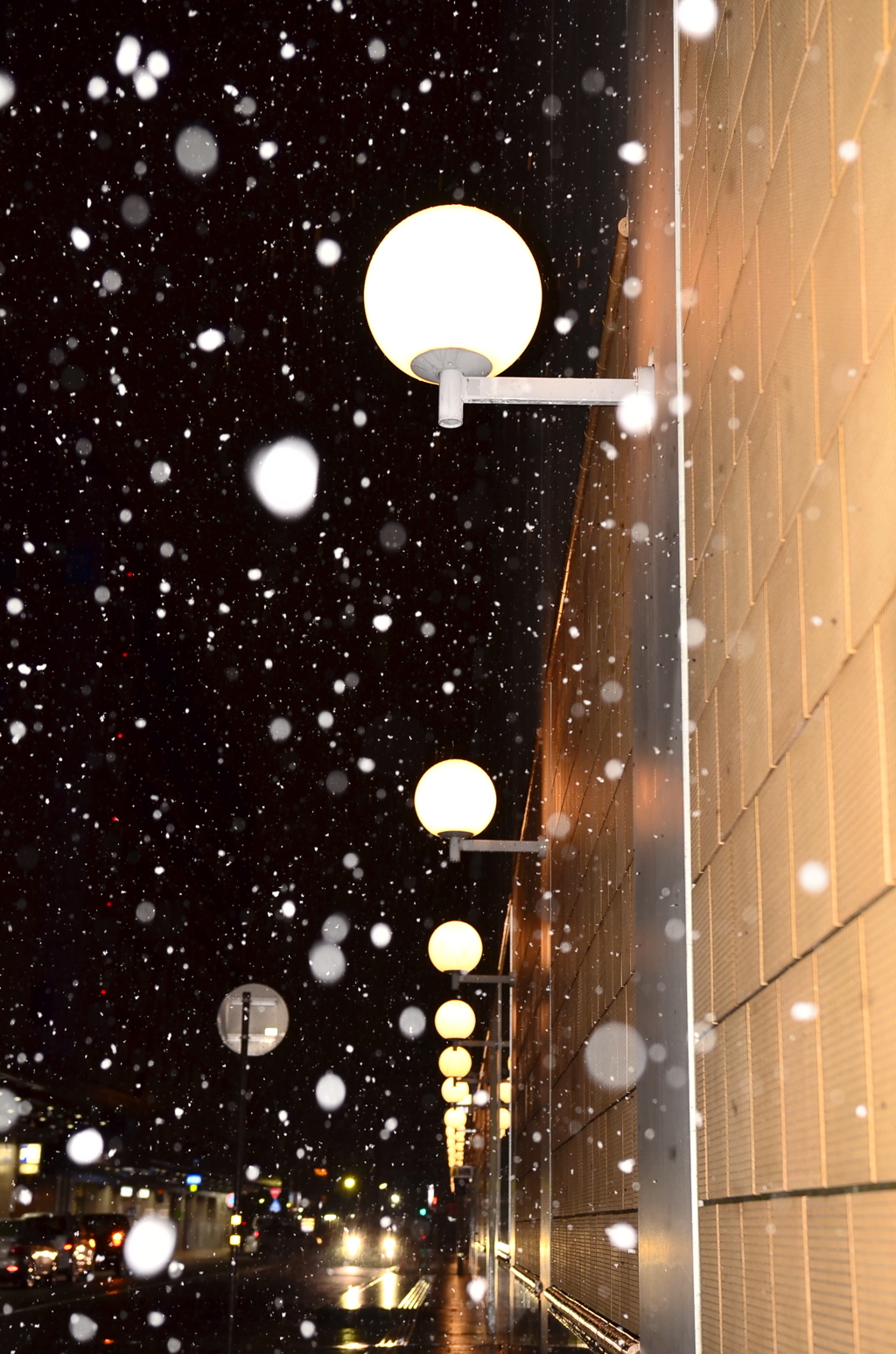 星降る夜・・・