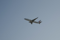 日本航空　B737