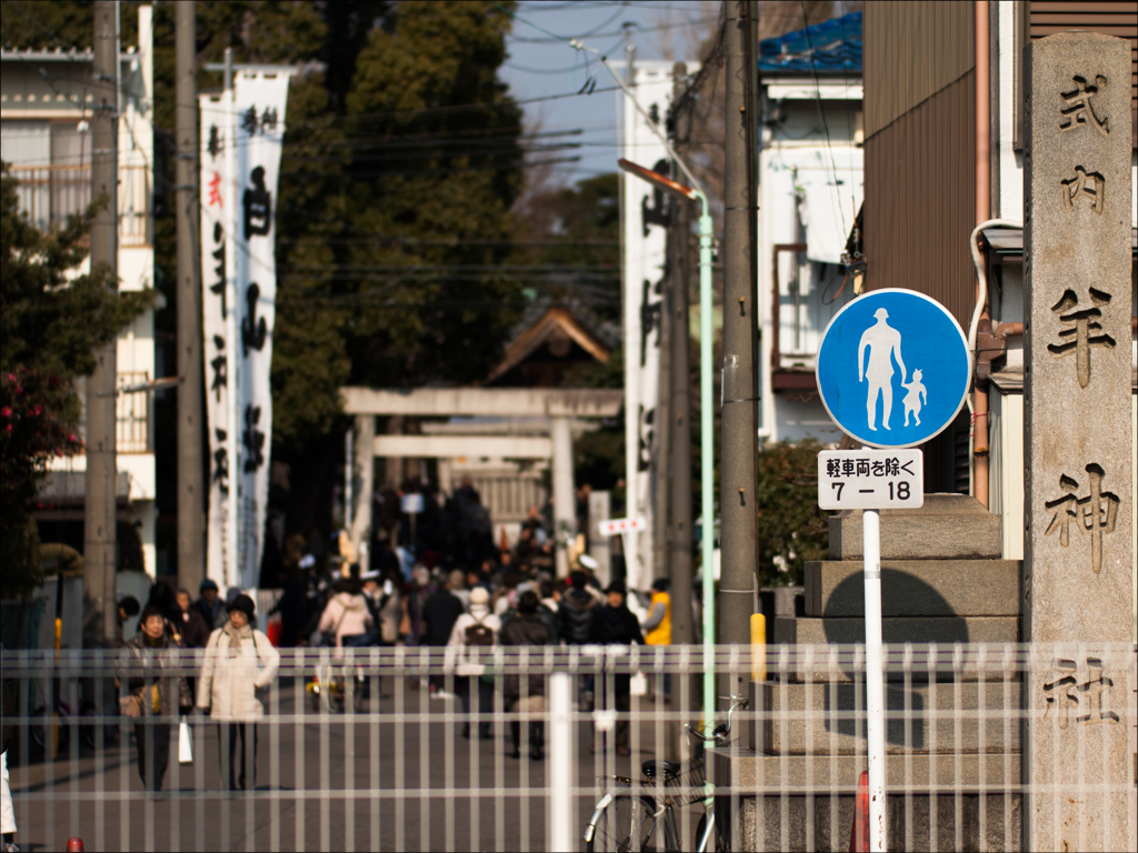 十二年に一度の・・・