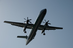 ANAウィングス　Bombardier DHC-8