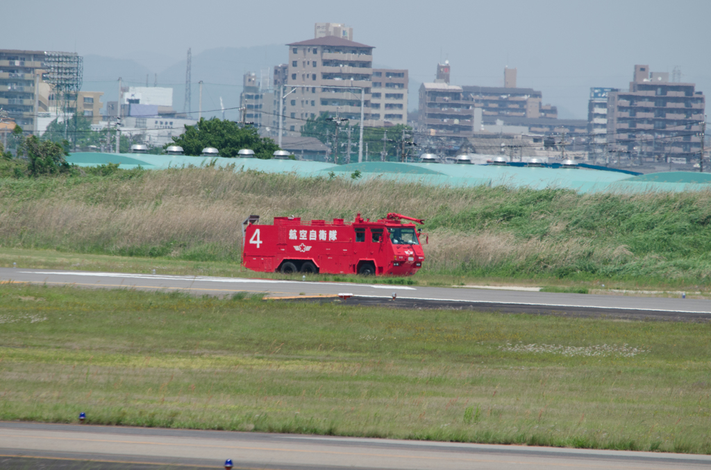 壁｜д・´)?!まこっちは見た！