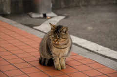 腹減ったなぁ・・・