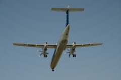 ANAウィングス　Bombardier DHC-8