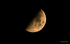 Half Moon・・・