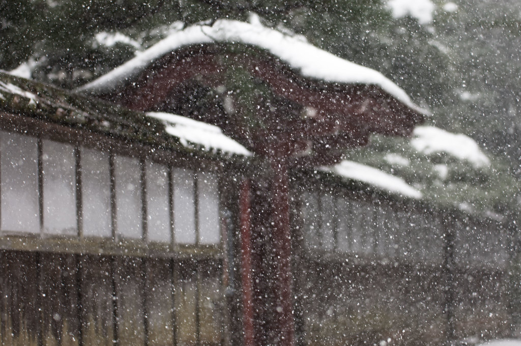 粉雪・・・(´Д｀ι)