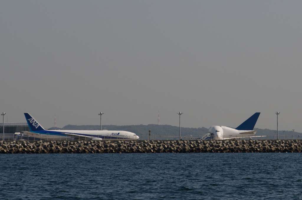 全日空B777とドリームリフター