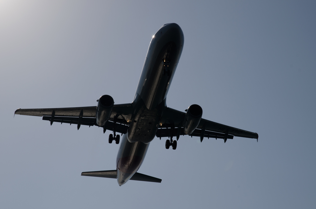 AsianaAirlines　A321