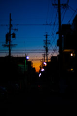 とある路地の夜明け(*´∀`*)
