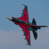 2019築城基地航空祭・・・(。-`ω-)ンー