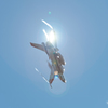 2018岐阜基地航空祭・・・（。✪Д✪）ｷﾗｯ!!