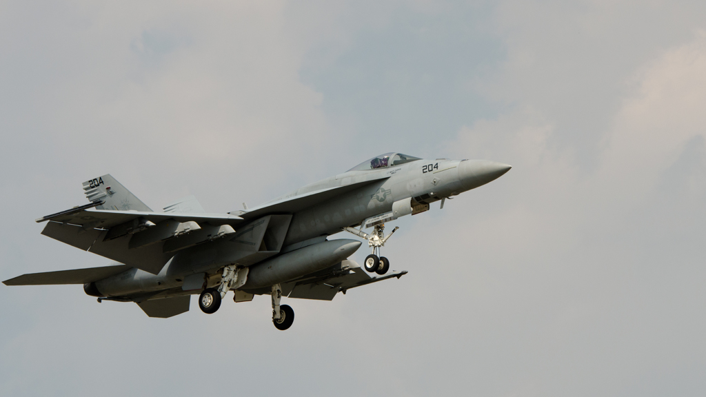 U.S.NAVY　RoyalMaces　NF-204