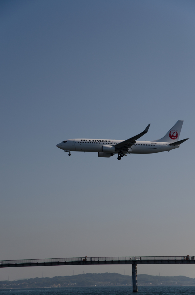 日本航空　B737