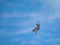 306SQ航空祭記念塗装機　高機動旋回（*´Д`）